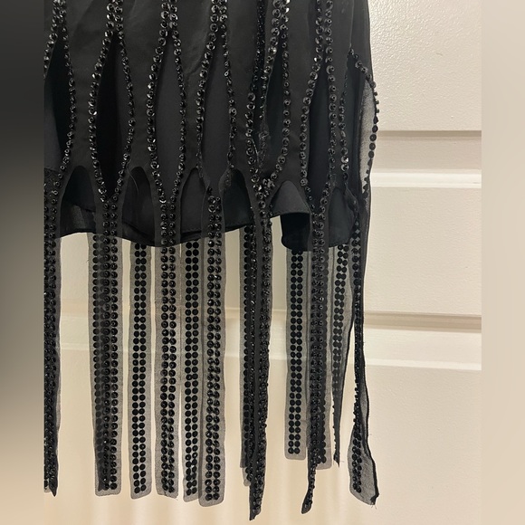 NWT Zara Sequin Beaded Fringe Dress - Picture 12 of 16